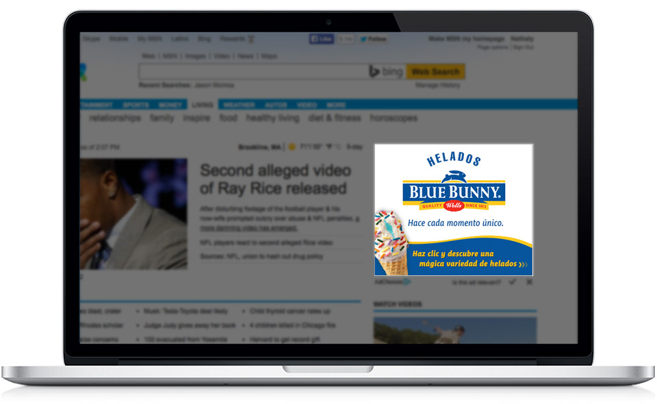Blue Bunny Online Banner